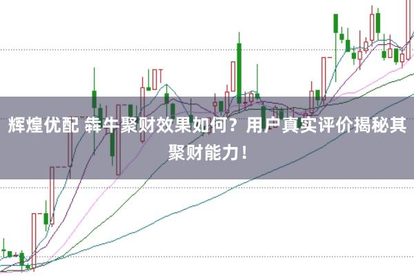 辉煌优配 犇牛聚财效果如何?用户真实评价揭秘其聚财能力!